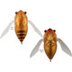 Atomic Hardz Cicada 35 Lure