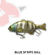 Chibitarel 130mm Swimbait - blue stripe gill