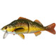 Westin Percy the Perch Swim Bait 20cm. 100g bibed Twin Treble Rig Lure