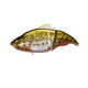 Mega Bass Vatalion 190 (SS) Swim Bait Lure