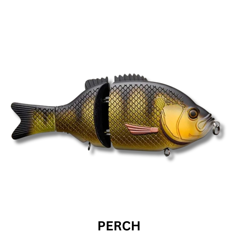 Baitsanity Explorer Gill 6 Glidebait | McCredden's