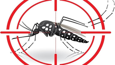 Mosquito-borne Disease Solutions Mosquito-borne Disease Solutions