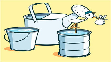 Get Mosquito Protection At Home - 3 Simple Steps Get Mosquito Protection At Home - 3 Simple Steps