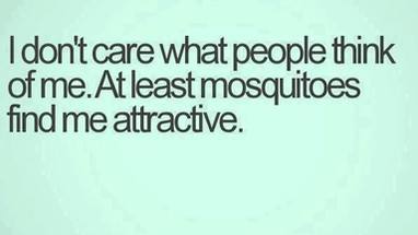 How Not To Attract Mosquitos - 8 Tips