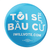 I Will Vote - Vietnamese (2.25" Mylar Button -- Pack Of Two!)