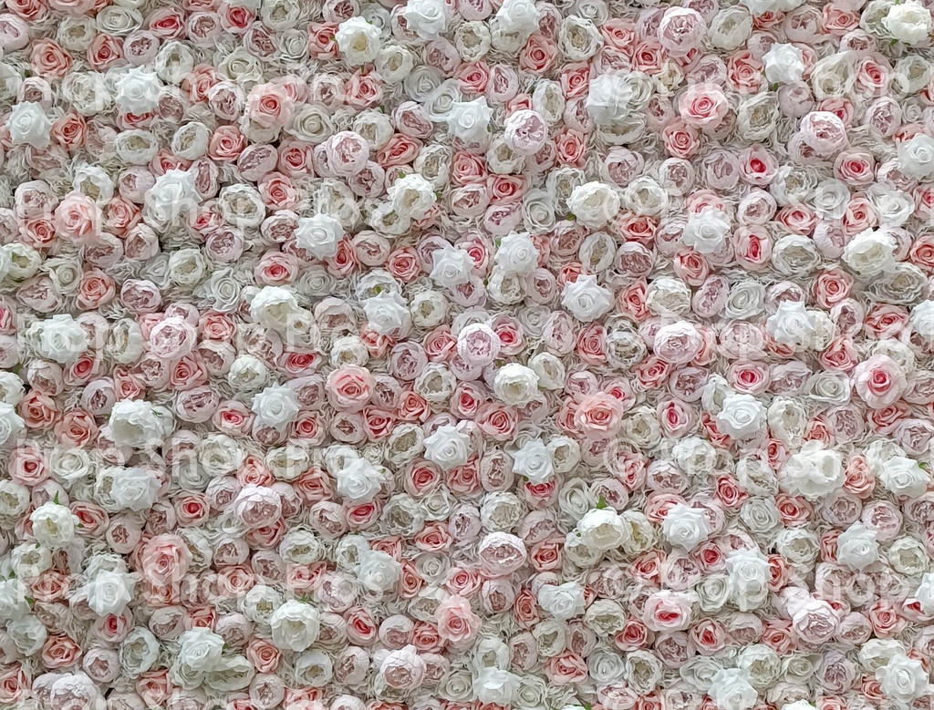 WHITE TAN LIGHT PINK ROSE FLOWER WALL | FLOWER WALL |WHITE TAN LIGHT PINK ROSES 