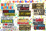 Birthday Signs | Any Age | (Partial Bundle)(Five Signs) 5 Of 6 Signs B-STOCK | Photo Booth Props | Prop Signs