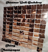 SHINY CHAMPAGNE 8x8 SHIMMER WALL PHOTO BOOTH BACKDROP | PHOTO BOOTH BACKDROPS 
