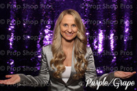 Purple / Grape Large Sequin Photo Booth Backdrop | Photo Booth Backdrops 