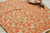 Off white with orange and gold tinted creeper patterned cotton Jamdani