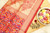 Golden, blue and mustard floral Pashmina raphsody on bright bold red with intricate golden zari