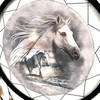 Horses 24" D Dream Catcher/Horse
