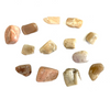 Moonstone Tumbled Stone by the Pound