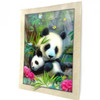 Cuddly Pandas 3D Moving Picture Lenticular Art 11.5" x 15.5" Cuddly Pandas 3D Moving Picture Lenticular Art 11.5" x 15.5"