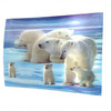 A Polar Sleuth 3D Moving Picture Lenticular Art 11.5" x 15.5" A Polar Sleuth 3D Moving Picture Lenticular Art 11.5" x 15.5"