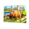 A Grizzly Spring 3D Moving Picture Lenticular Art 11.5" x 15.5"