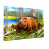 A Grizzly Spring 3D Moving Picture Lenticular Art 11.5" x 15.5"