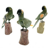Hard Rock Parrots 1 Count Assorted
