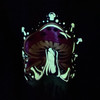 Glow in Dark Mushroom Black  Zip Up 1 Assorted Size Glow in Dark Mushroom Black  Zip Up 1 Assorted Size