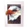 Portrait Of An Eagle 3D Moving Picture Lenticular Art 11.5" x 15.5" Portrait Of An Eagle 3D Moving Picture Lenticular Art 11.5" x 15.5"
