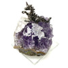Pewter Dragon on Amethyst 1 Count Assorted Pewter Dragon on Amethyst 1 Count Assorted