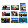 Multi Layered Wooden Colorado Magnet 1 Count Assorted