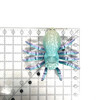 3D Printed Spider 1 Count Assorted Color 3D Printed Spider 1 Count Assorted Color