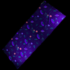 UV Reactive Scarf - Outer Space (Copy)