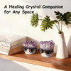 Mystery Crystal Hedgehog Buddy - 1 Surprise Friend