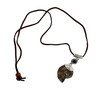 Ammonite Shell Pendant Necklace – Brown Cord Necklace with Silver-Tone and Blue Accent