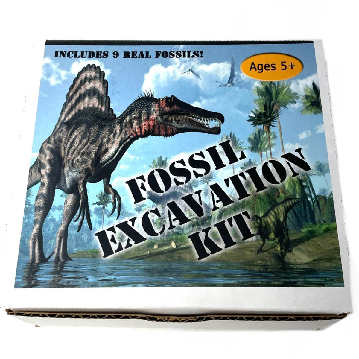 Fossil Excavation Kit with Tools Paykoc Imports, Inc.