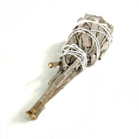 Sage Torch 2-4 Bundle Per Each