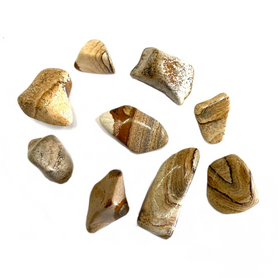 Picture Jasper Tumbled Stone by the Pound