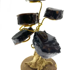 Ayahuasca Wood Gem Specimen Tree 4.5"