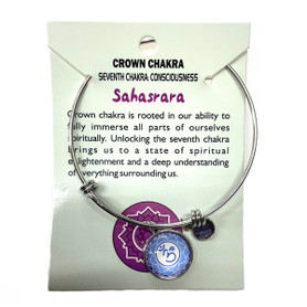 The 7 Chakra Stainless Steel Bangle Bracelet 1 Count Assorted The 7 Chakra Stainless Steel Bangle Bracelet 1 Count Assorted