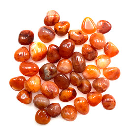 Carnelian Tumbled by the Pound 1"-2" Pieces Carnelian Tumbled by the Pound 1"-2" Pieces