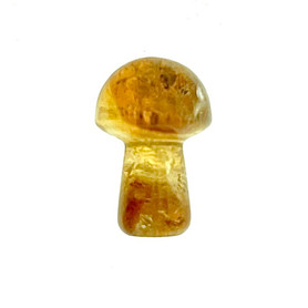 Tiny Citrine Mushrooms pack of 6 pieces .75" Tiny Citrine Mushrooms pack of 6 pieces .75"