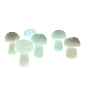 Tiny Aquamarine Mushroom 6 Pack .75" Tiny Aquamarine Mushroom 6 Pack .75"