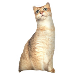 The Kitties! Cat Pillows 1 Count Assorted Cats The Kitties! Cat Pillows 1 Count Assorted Cats