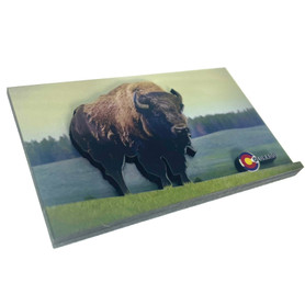 Multi Layered Wooden Colorado Magnet 1 Count Assorted