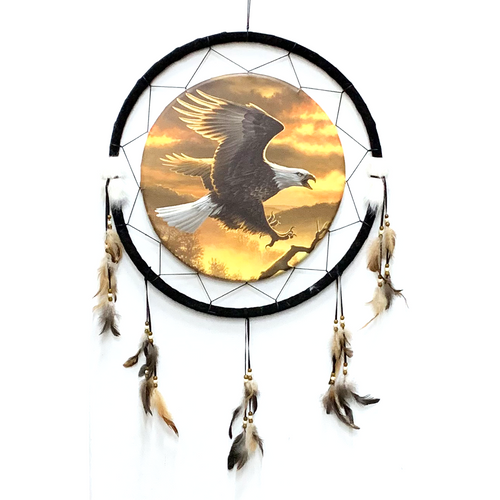 Dream Catcher Eagle DC24261