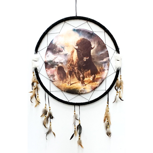 Dream Catcher DC24115