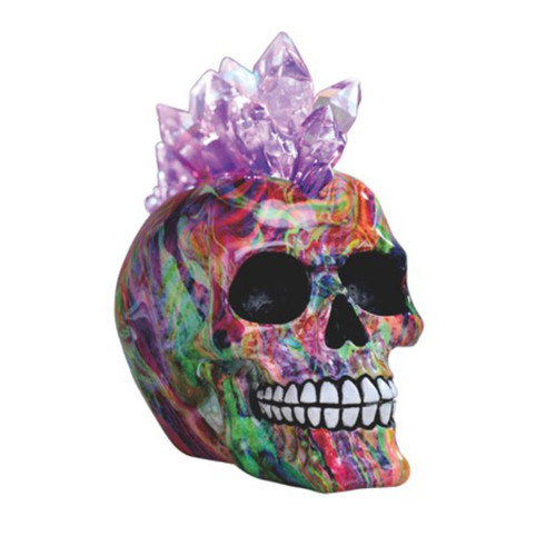 Inspired Acid Color Skull with LED Rock Mohawk Punkrock Red Green 7"W Inspired Acid Color Skull with LED Rock Mohawk Punkrock Red Green 7"W