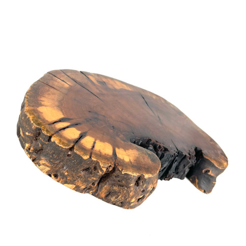 Small Shan Mu Cyprus Tree Wooden Polished Slab 1 Count Assorted Rough Shapes