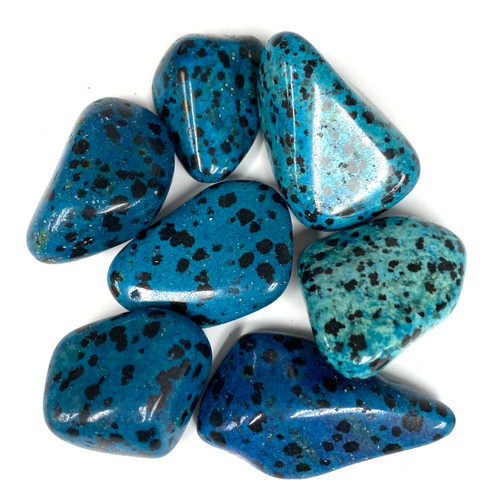Blue Dalmatian Tumbled Stone by the Pound Blue Dalmatian Tumbled Stone by the Pound