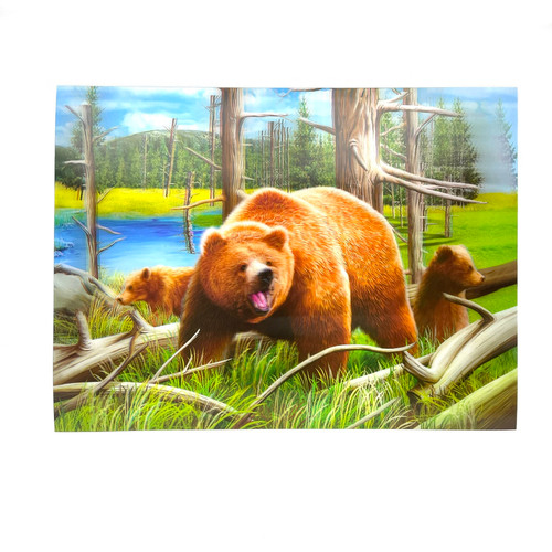 A Grizzly Spring 3D Moving Picture Lenticular Art 11.5" x 15.5" A Grizzly Spring 3D Moving Picture Lenticular Art 11.5" x 15.5"