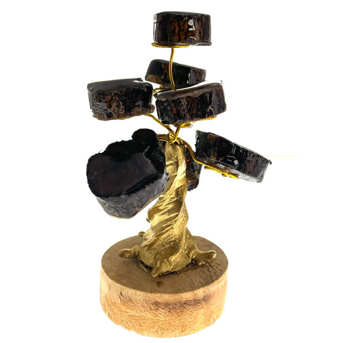 Ayahuasca Wood Gem Specimen Tree 4.5" Ayahuasca Wood Gem Specimen Tree 4.5"