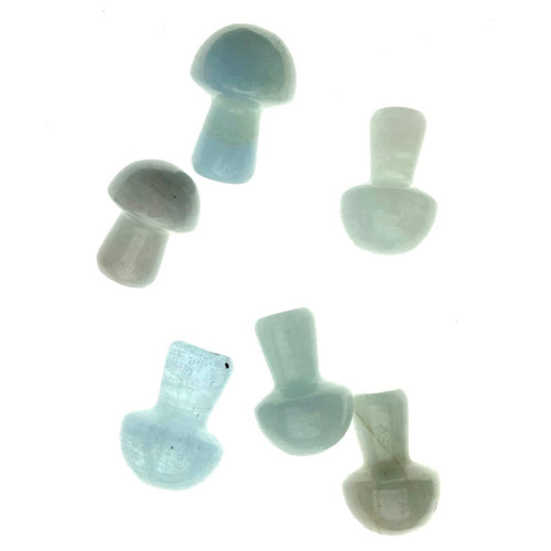 Tiny Aquamarine Mushroom 6 Pack .75" Tiny Aquamarine Mushroom 6 Pack .75"