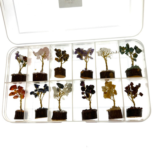 Gem Tree Orchard 12 Pack 2.5”