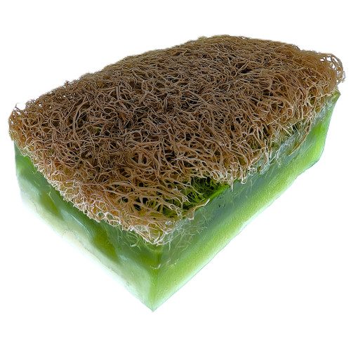 Bosnali Exfoliating Loofah Soap – Handmade Goat Milk Bath Bar for Face & Body, Moisturizing & Invigorating Cleanse (Aloe Vera) Bosnali Exfoliating Loofah Soap – Handmade Goat Milk Bath Bar for Face & Body, Moisturizing & Invigorating Cleanse (Aloe Vera)